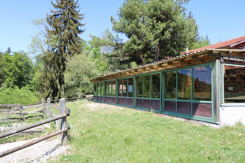Buvette du Ranch du Rotzé, terrasse extérieure Buvette du Ranch du Rotzé, terrasse extérieure