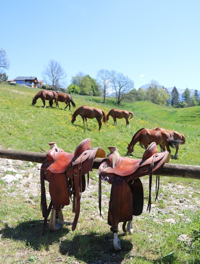 Journées avec des chevaux pour les enfants Journées avec des chevaux pour les enfants